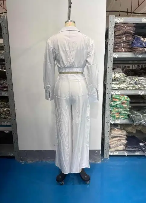 

Women's Pants Set 2025 Fashion Latest Spring/summer Trendy New Hot Selling Style Casual Loose Solid Color Wide Leg Pants Set