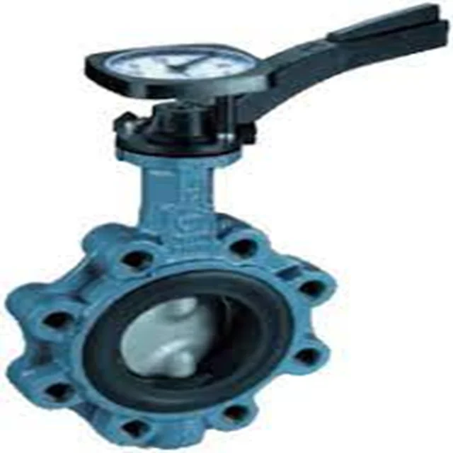 Industrial Electric Butterfly Valve DN300 Z011-A DN200 DN50 EBRO butterfly valve