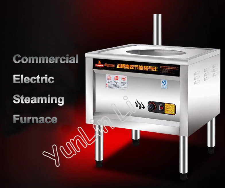 Vaporizador eléctrico de 220V, máquina de vapor eléctrica y de gas de acceso comercial, diseño antiseco