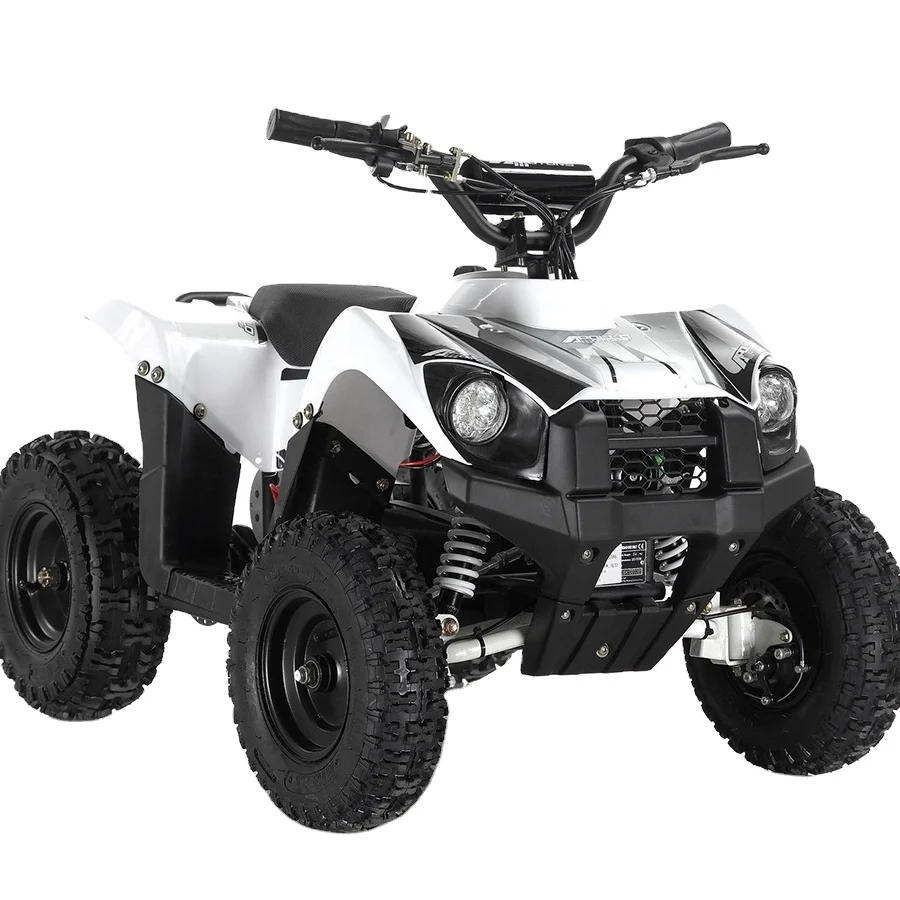 

Mini Quad Bike for Kids China Cheap Adults Atv 800W All Terrain Mini Motorcycle Offroader Vehicle