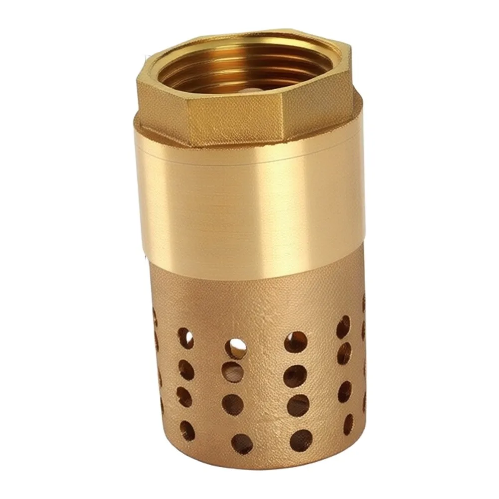 1 inch Brass Foot Valve with Fine Mesh Filtration for Sand and Particle Exclusion in Pump Suction Applications