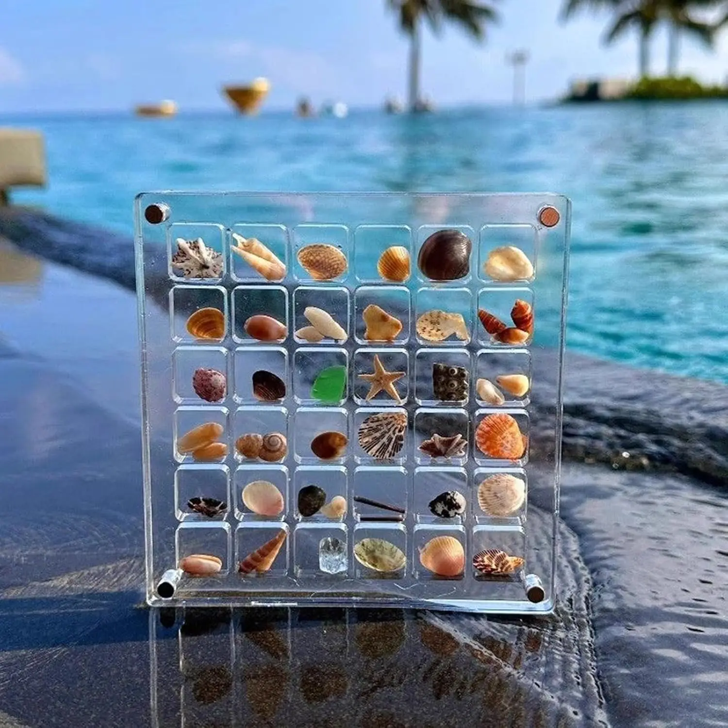 

2Pcs Acrylic Seashell Display Box,Clear Organizer Box Container for Beads,nails,jewelrys,Gemstones,Seashell