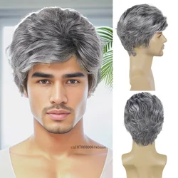 Old Men Wigs Syntetyczne szare peruki dla męskiego dziadka Krótka szara peruka z kręconymi włosami z grzywką Codzienny kostium na Halloween Odporny na ciepło