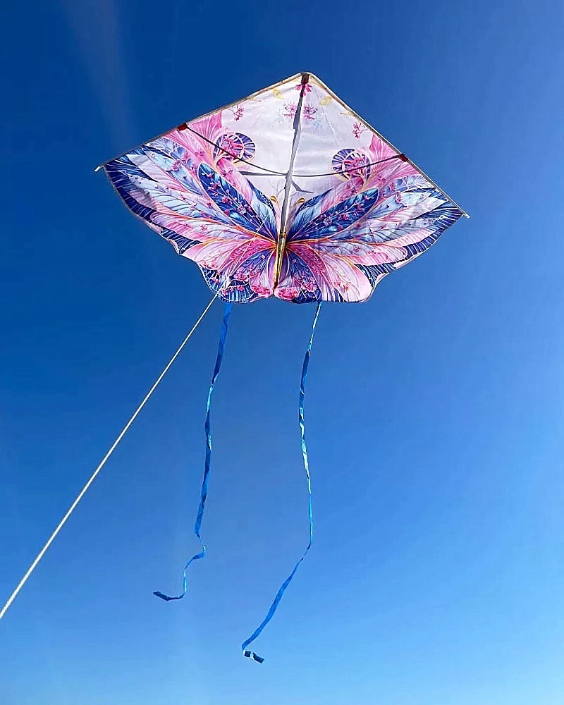 Livraison gratuite cerf-volant papillon juego basta peonza madera cerf-volant volant adultes gel blaster filature garçon corde jeux de plein air amusant