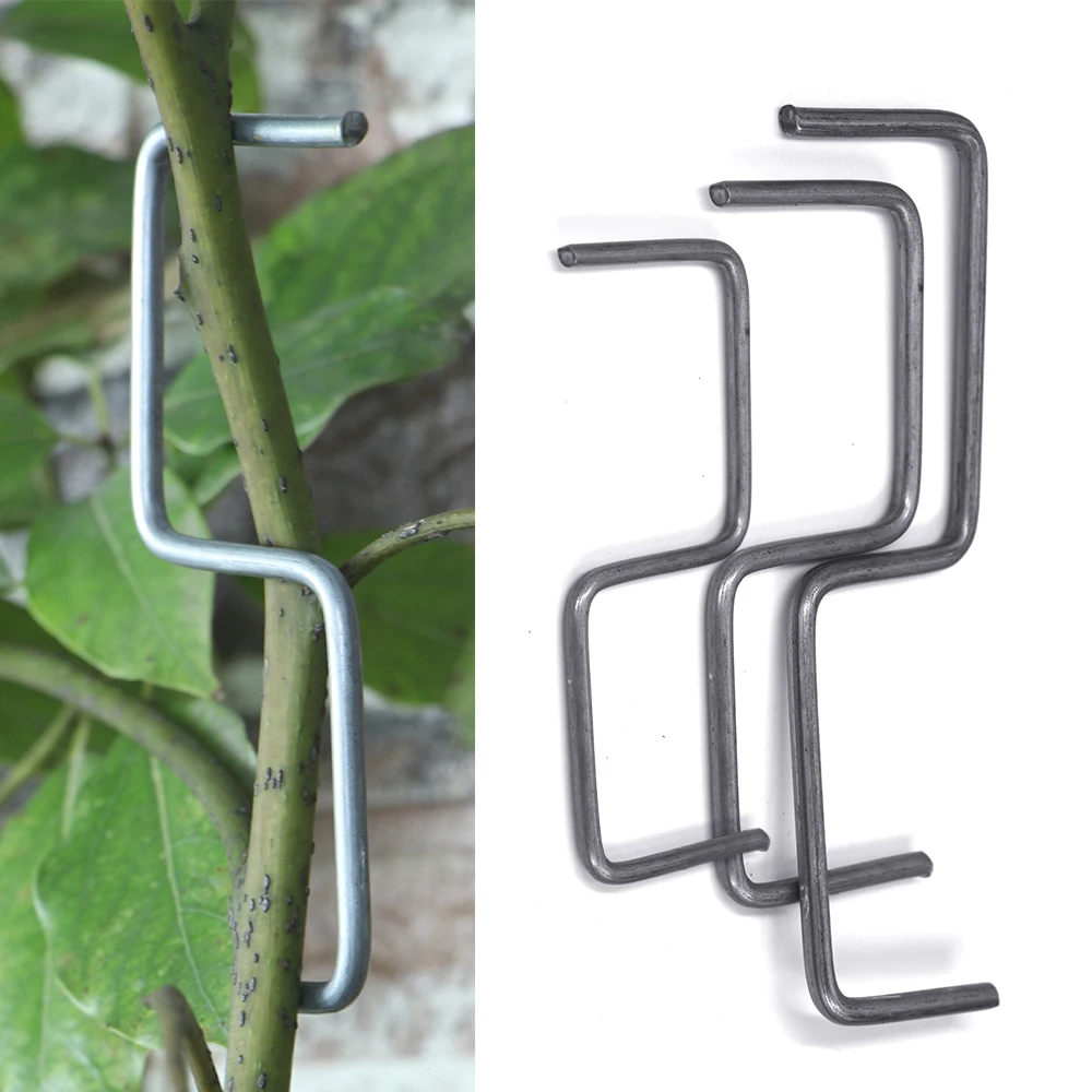 5PCS Garden Metal Steel Wire Trees Distorted Trainer Fruits Branches Fixator for Yard Bonsai Plants Landscaping Supports Holder