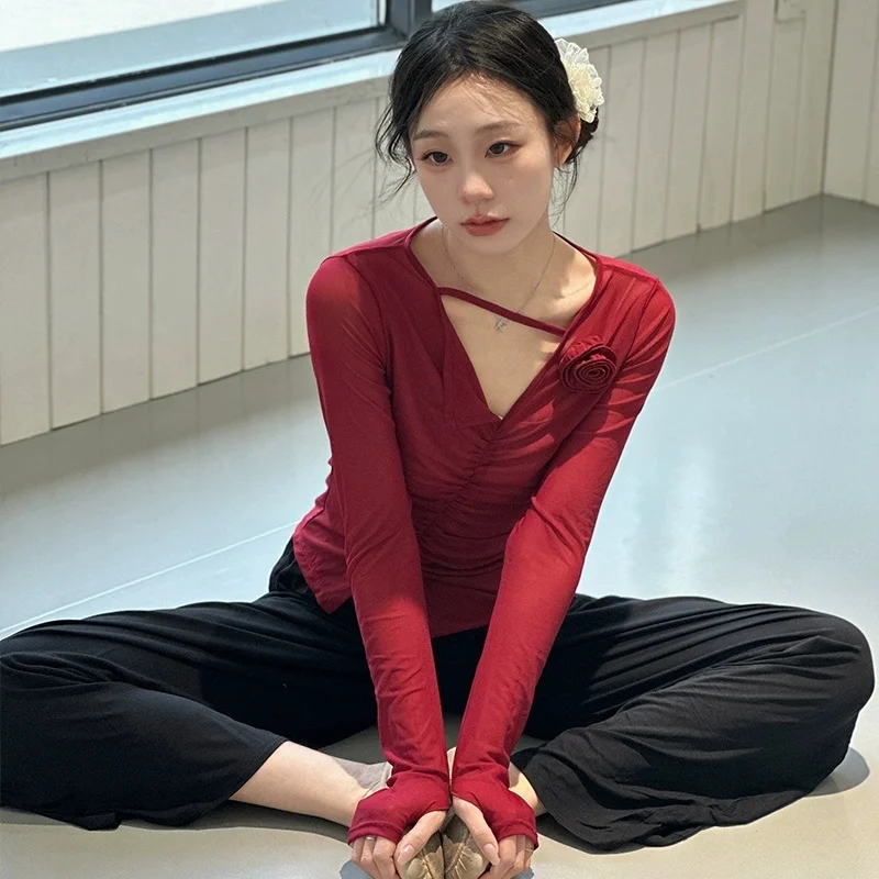 Classical Dance Practice Suit Red Long Sleeve Mesh Skirt Women's New Style Adult Dance Top Elegant Drifting Dance Shirt