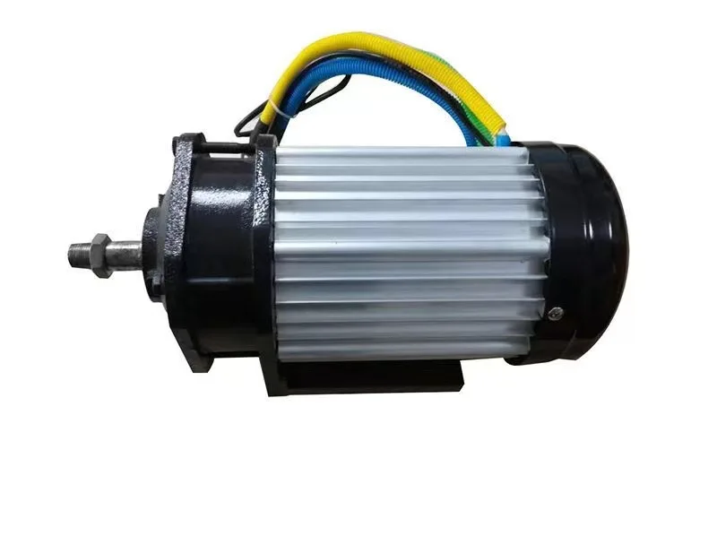 48V  60V  72V 3100 RPM  BLDC High Torque 1KW Rickshaw  Motor