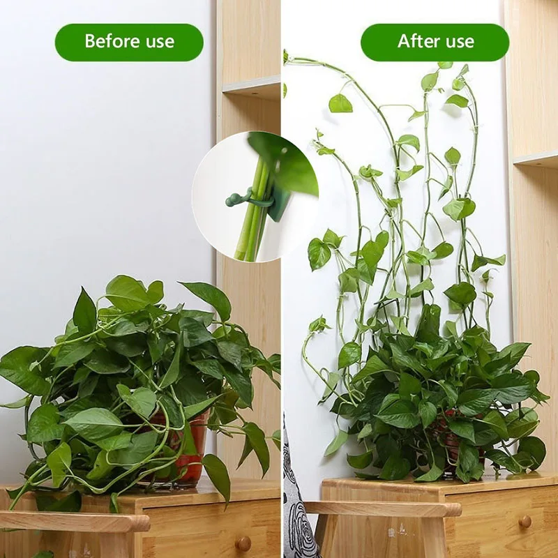 Plant Climbing Wall Clips Self-Adhesive Buckle Hook Fastener Tied Fixture Plant Stent Invisible Vine Climbing Fixed Bracket