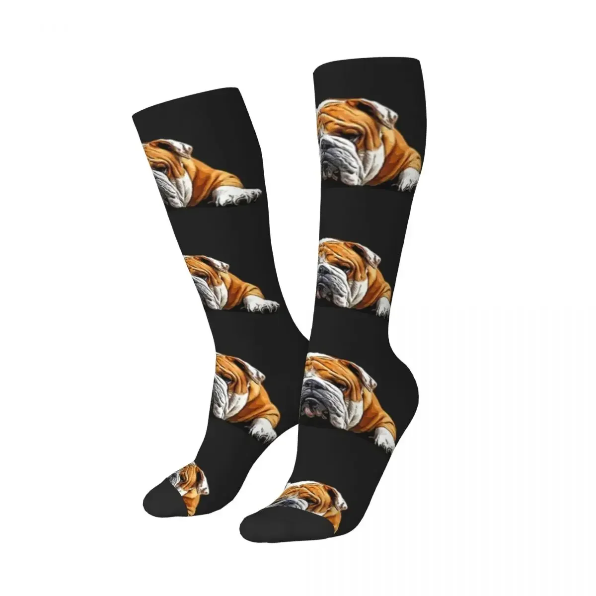 Bulldog Chill Pose - English Bulldog Socks Harajuku Super Soft Stockings All Season Long Socks Accessories for Unisex Gifts