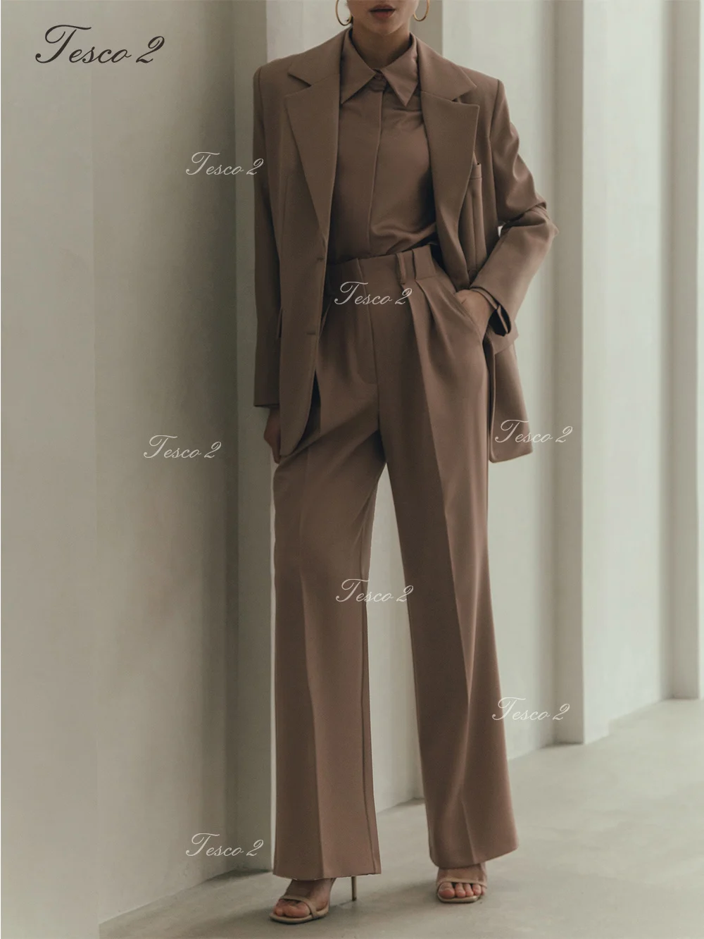 Tesco-traje Formal para mujer, chaqueta holgada, pantalones, traje de dama de oficina, traje de moda para primavera y otoño, 2 piezas