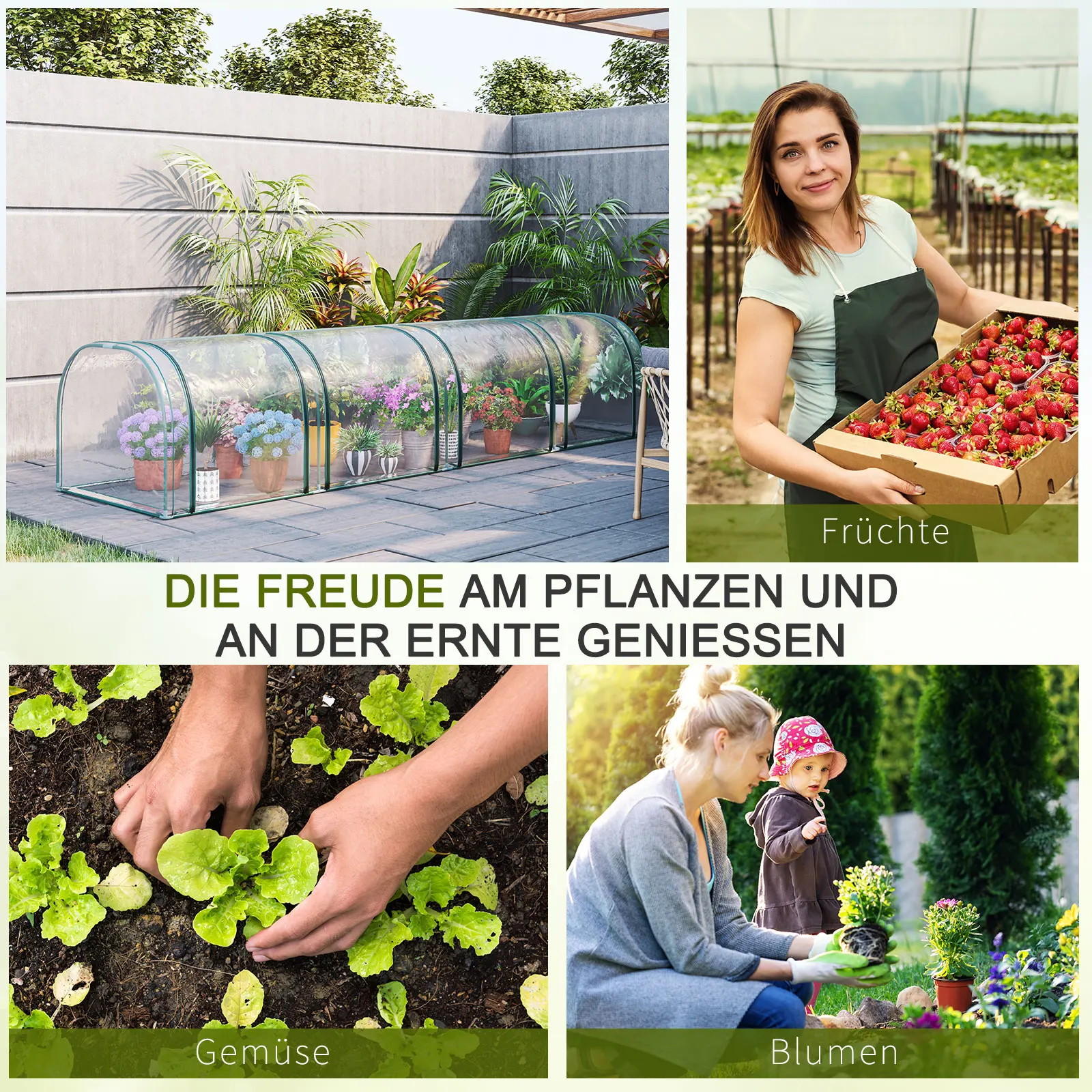 Outsunny Foliengewächshaus Treibhaus Gewächshaus mit Tür Frühbeet Stahl kunststoff Ansicht 5