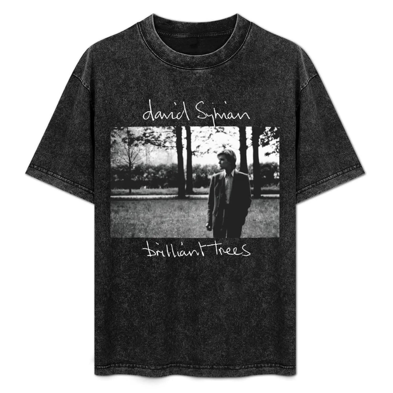 

DAVID SYLVIAN T-Shirt vintage t shirts graphic t shirts anime stuff hippie clothes mens vintage t shirts
