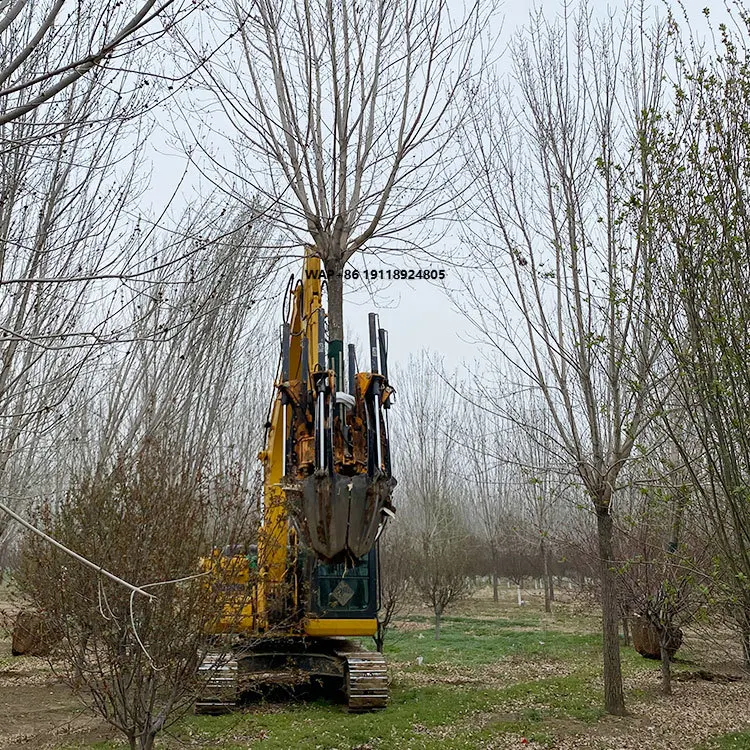 Shandong Tree Spade Skid Steer/Excavator Attachment (6 Ton) Tree Transplanter with Gear Core Components