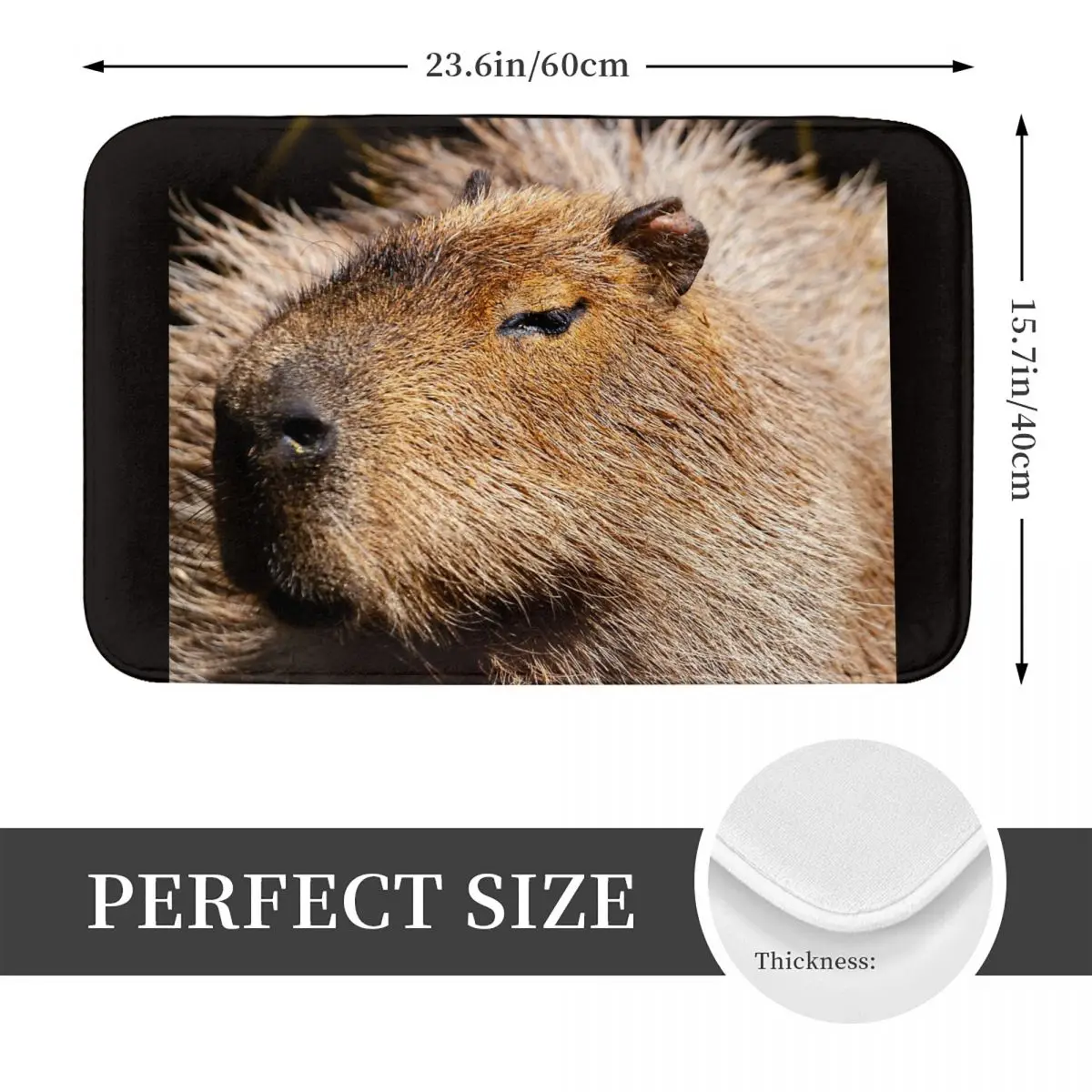 Capybara Profile Doormat Kitchen Entrance Home Floor Mat Anti-slip Carpet Rug for Bathroom Footpad Mats
