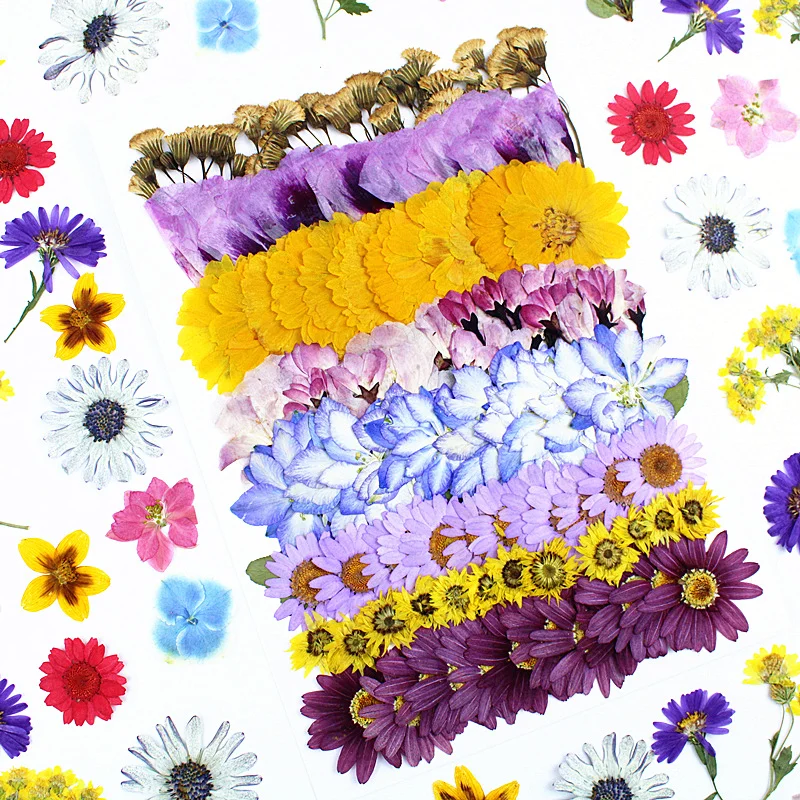 New pressed flower set: cherry - đánh giá và giá Dried Flower Bookmark