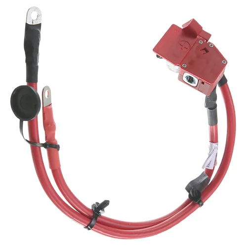 Imagen 2 del producto Cable fusible de batería de coche, accesorio positivo para BMW F20, F21, F22, F23, 118i, 220i, 228i, F87, M2, 61129253111, 61, 12, 9, 253, 111, 1 unidad