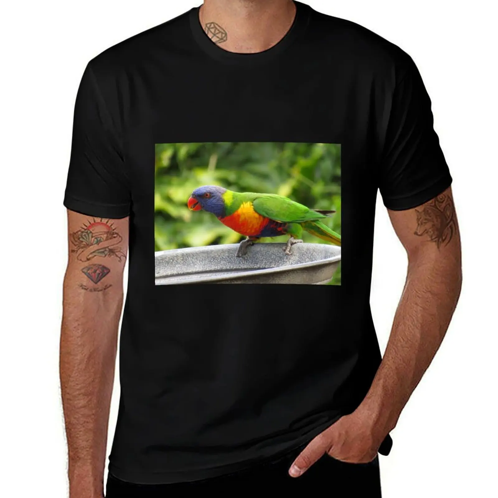 

Rainbow Lorikeet T-Shirt tshirts personalised blue lock blue archive t shirts for men