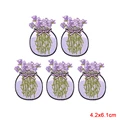 PE17099CT