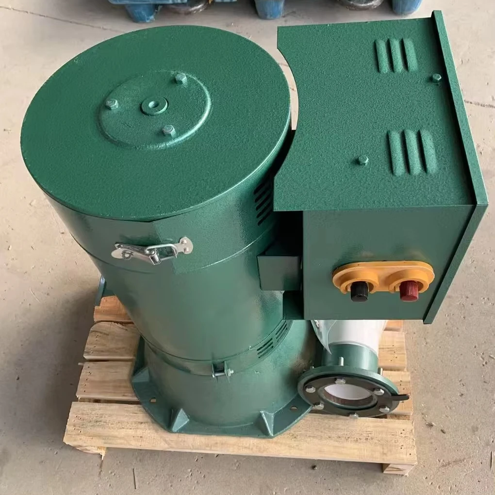 China Factory Hydro Turbine Generator 5kW 220v 380v Water Powered Generator Turbine Water Micro Hydro Electric Generator