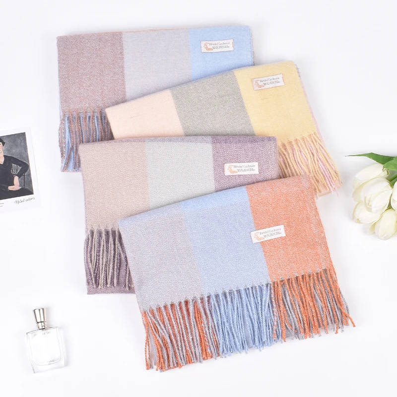 Autumn and Winter Fashion New Style Imitation Cashmere Color Matching Tassel Scarf Silk Scarf Sunscreen and Warm Shawl