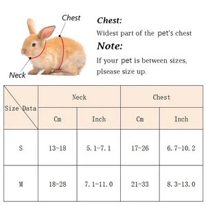 8 en çok satılan, köpekler için 4 numara