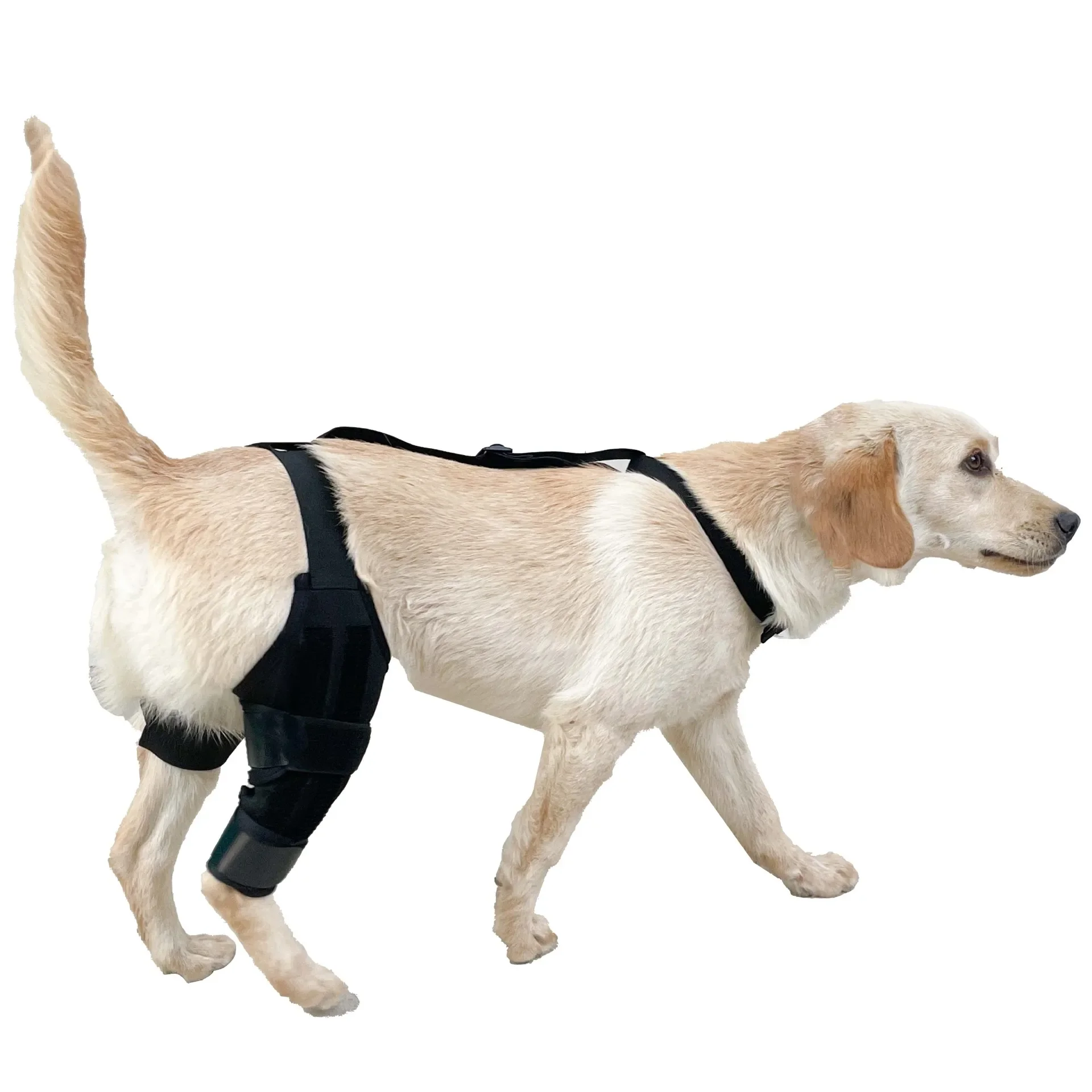 Dog Knee Brace Support Acl Recovery Breathable Adjustable Leg Wrap Soft Protective Splint Post Surgery Injury Pet Hot New