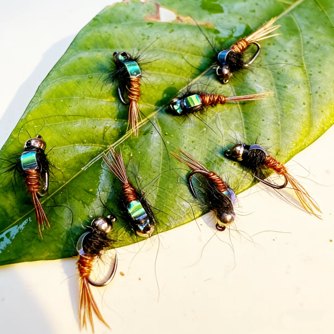 5 Stück # 14 Barbless Tungsten Jig Nymphen-Fliegen mit Fasanenschwanz, Euro-Nymphen, Nassfliegen für Forellen-, Grauelfen- und Weißfischangeln – Detail 8