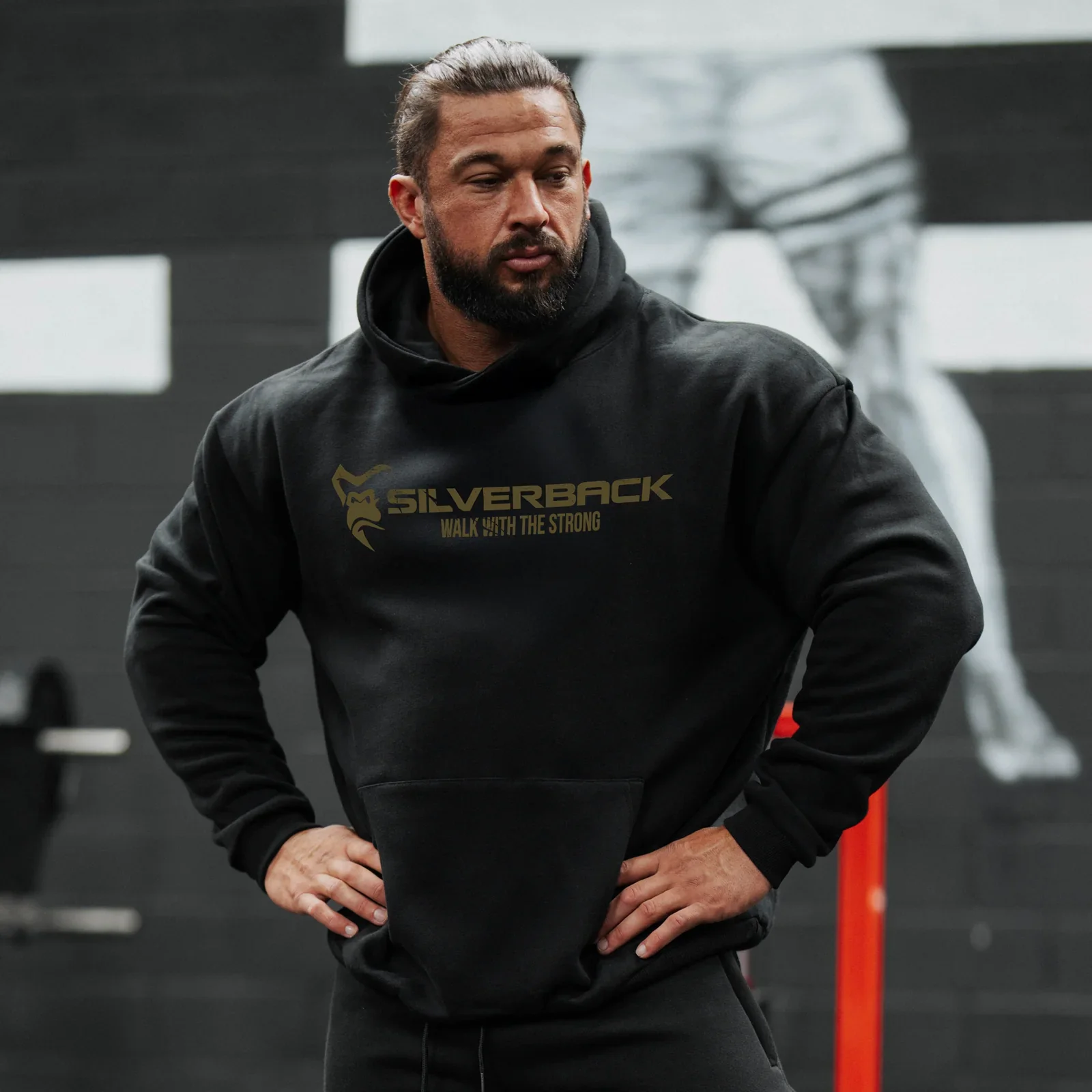 Hercules - Gods of Strength 2026 Pull Hoodie SILVERBACK Men Training Hoodies Sweatshirts Graphic Printed Workout Sports Tops