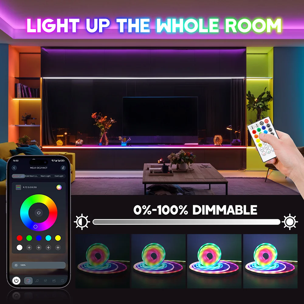 5V Bluetooth USB RGB CCT LED Neon Strip Light 5050 2835 2 in 1 24key Remote Control WS2812B RGBCCT Kit 108LEDs/m IP67 Flex Decor