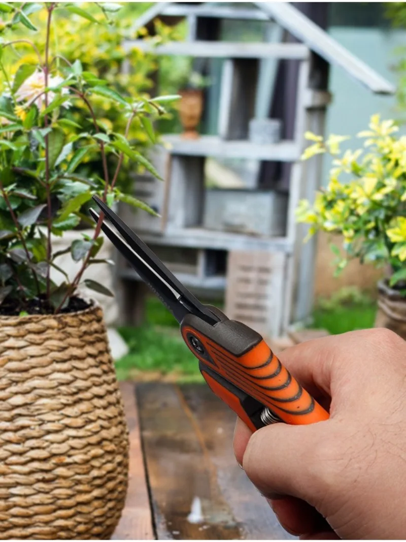 Ciseaux de taille de jardinage, ciseaux floraux de jardin d'arbres fruitiers, ciseaux de branches de taille, ciseaux à fleurs