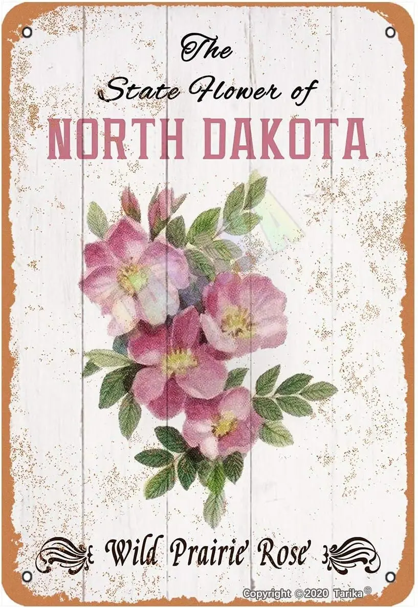 The State Flower of North Dakota Wild Prairie Rose for Bedroom,Bathroom,Garden,Club,Shop,Farmhouse Metal Vintage Tin Sign Wall D