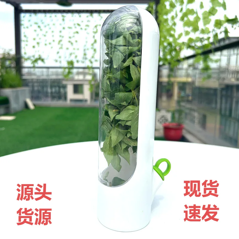 Asparagus and vanilla preservation box environmentally frindly preservation cup anti crushing vegetable refrigerator storage box