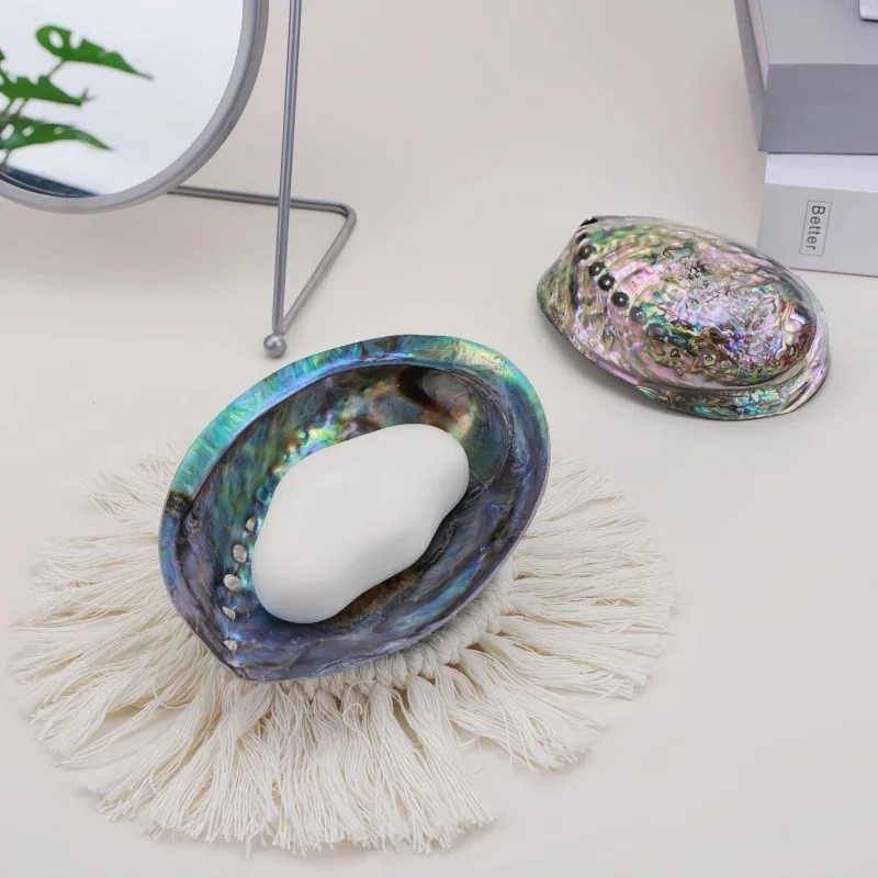 【Natural】Natural New Zealand Blue Mussel Shell Jewelry Storage Tray Gift Box Handmade Ornament Soap Box Gift Idea Creativity