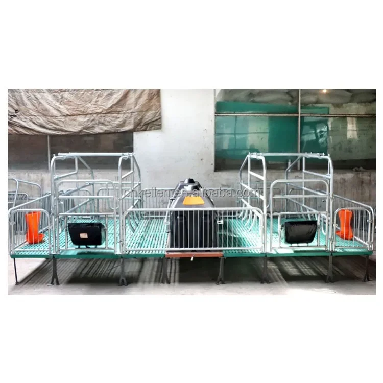 Superior quality newest design maternity cages for pigs piggery equipment pig farm