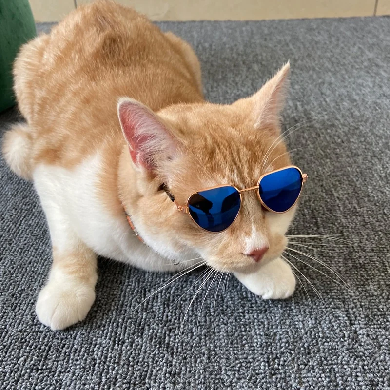 Rutschfeste Sonnenbrille für Katzen & Kleine Hunde Haustier-Zubehör Welpen-Kätzchen-Cosplay-Kostüm Niedliche Tier-Brillen Foto-Requisiten – Detail 12