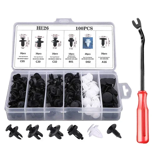 100 Stück Auto-Clip, 6 Größen, Auto-Innenraum, Kunststoff-Stoßstangen-Clips, Nieten, Befestigungselemente, Push-Typ-Pin-Halterung, Zier-Set mit Verschluss-Entferner
