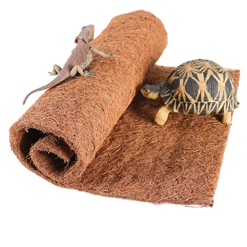 : Terrarios, arena y sustratos