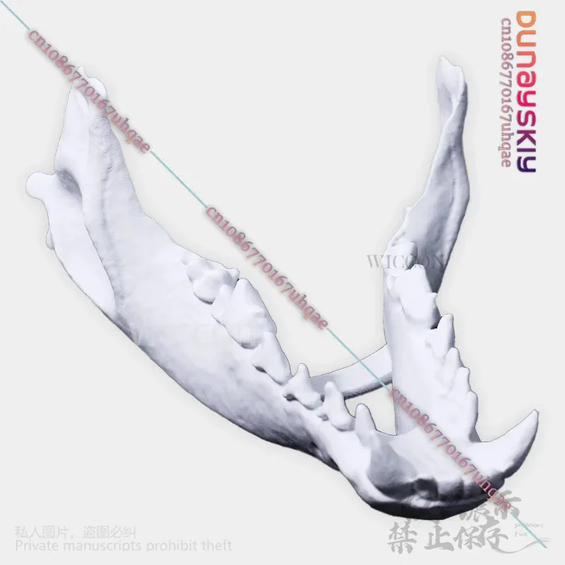 25COSAnimal Furry Cosplay Dog Skull Kigurumi Props Polylactic Acid Mask 3D Print Head Fursuit Halloween Christmas Party Customiz