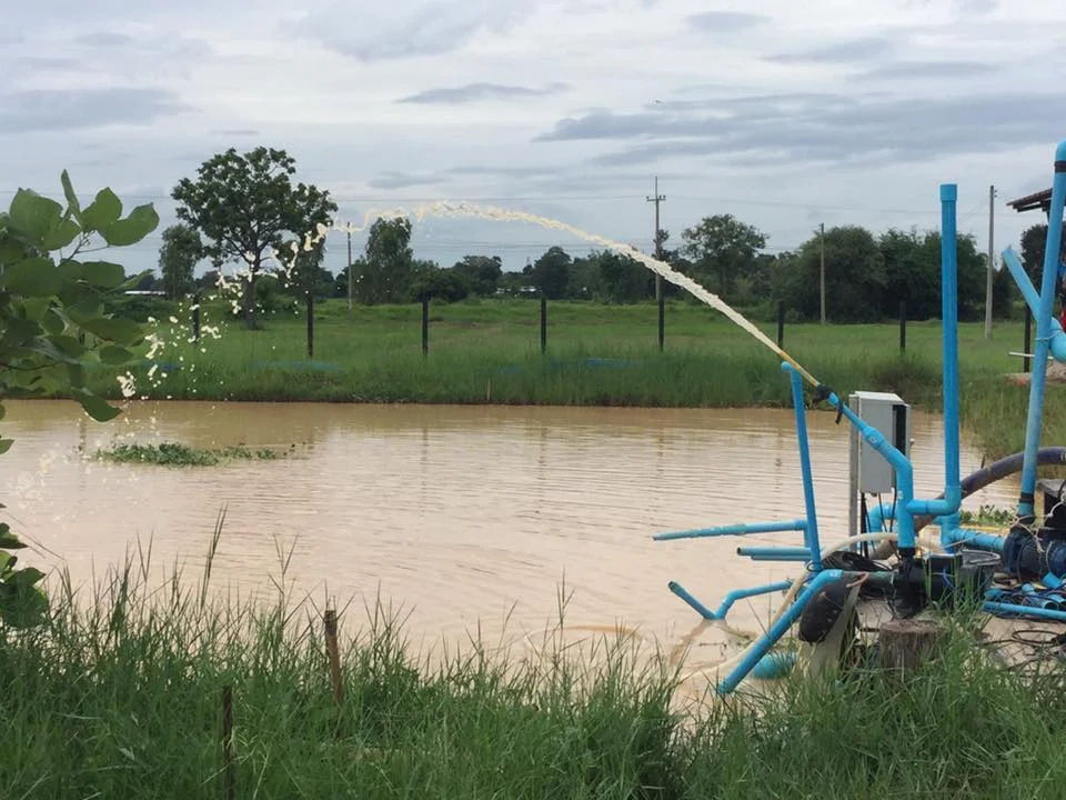 DC&DC/AC 1.64  Stainless Steel High Pressure 1200W Solar Water Pump for Swimming Pools 48V/72V Surface Plastic