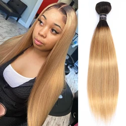 Ombre Human Hair Bundles Bone Straight T1b 27 Human Hair Bundles Pre colored Brazilian Bundles For Women Blonde Bundles Non-remy