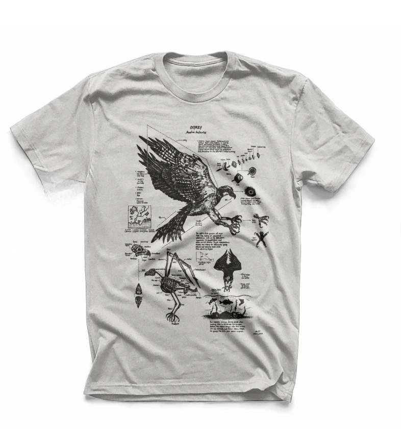 Fashion Osprey Anatomy Tshirt, Original Fish Hawk Drawing Screen Printed on A Soft Cotton Shirt, Hand Drawn Bird Biology Diagram