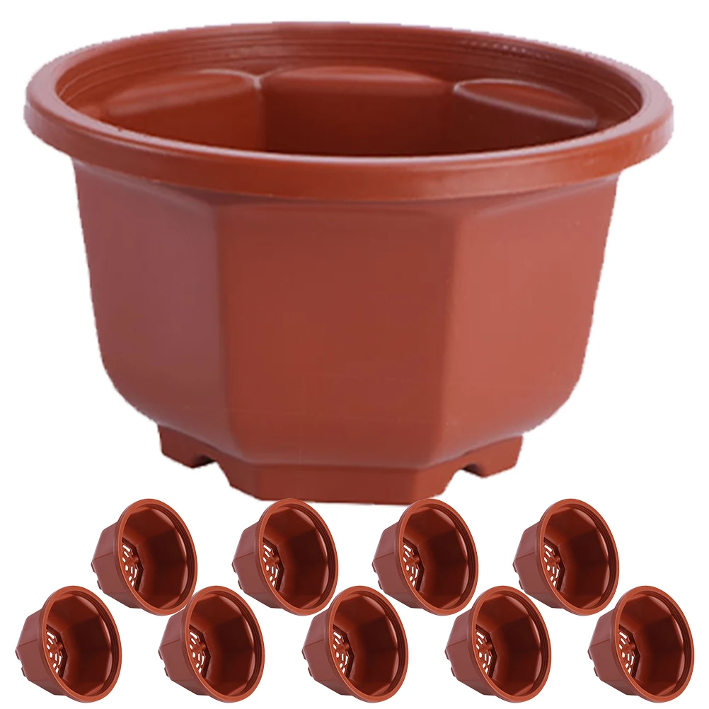 

10pcs Spider Indoor Plastic Flower Planters Bonsai Pot Draining Airflow Design for Home Kitchen Desk Green Dill Garden