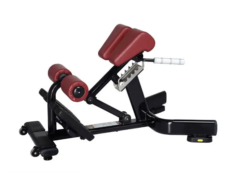 Wholesale New Indoor Fitness Equipment Professional Folding Roman Chair for Strength Training