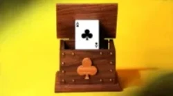 

CARD IN THE AIR by Tora Magic - Magic tricks (Instant Download)