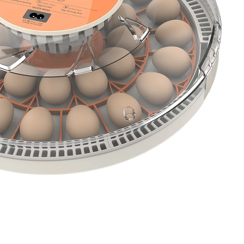 

30 egg Fully Automatic Chicken Egg Incubator for Eggs