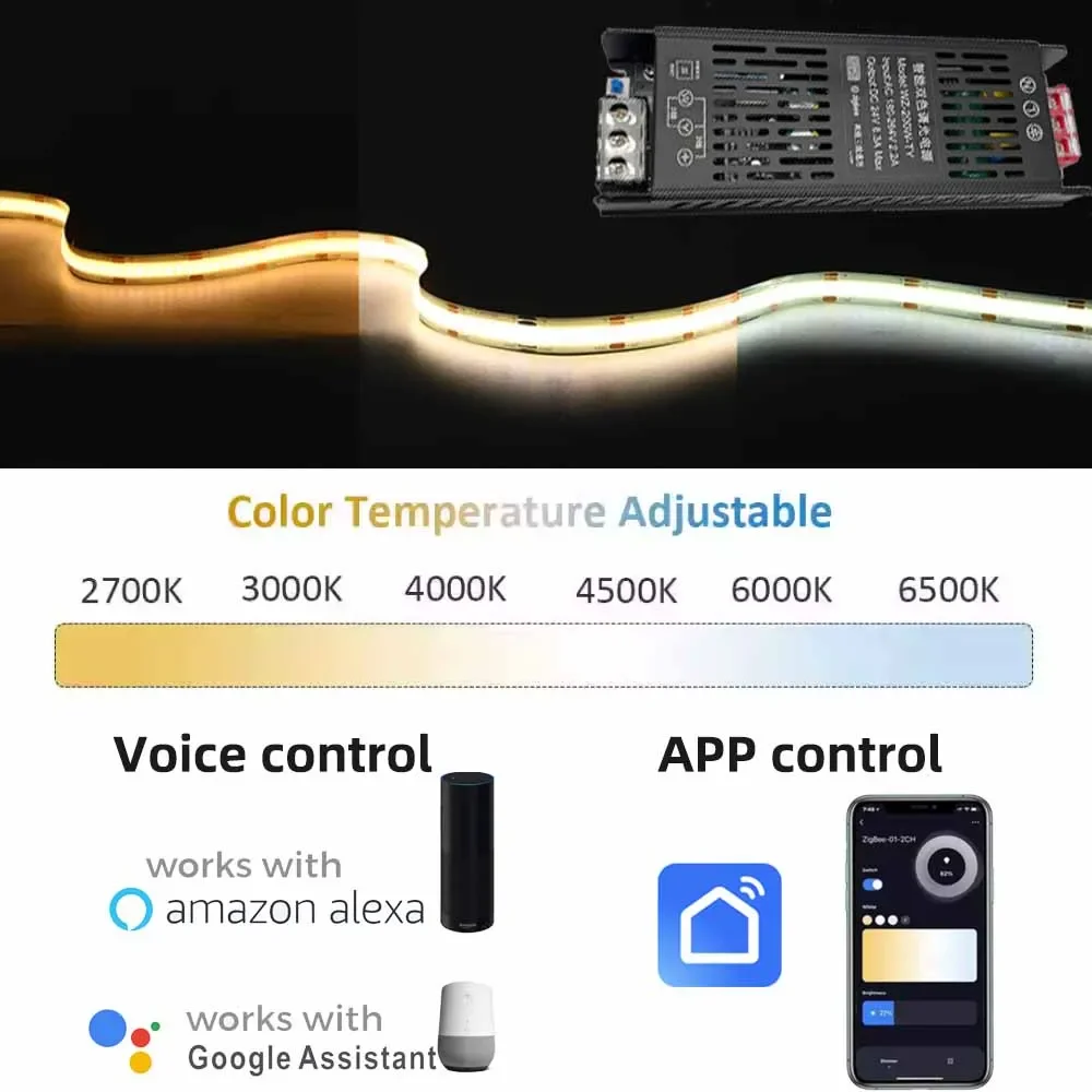 DC24V 200 واط 300 واط زيجبي يعتم محول AC180-264V مشرق/درجة حرارة اللون ضبط CCT 2 3 أسلاك تويا APP صوت أليكسا جوجل