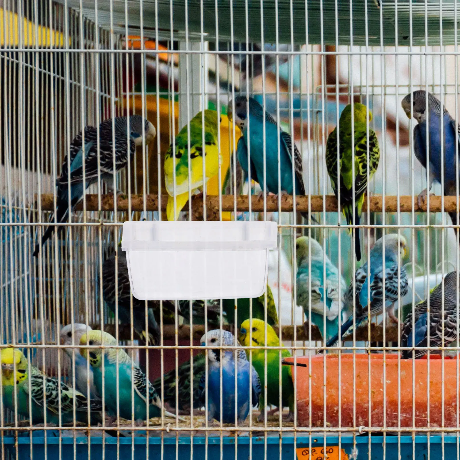 

Parrot Feeder Splashproof Transparent Bird Cage Hanging Food Dispenser Box Bird Feeding Tool for Parakeets Canaries Budgie