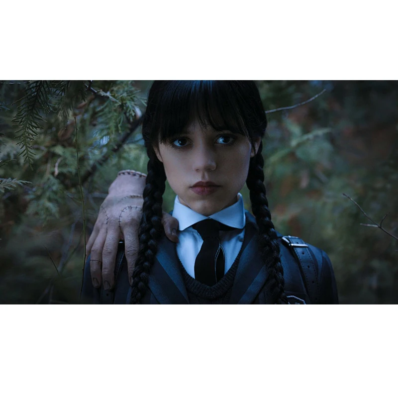 7 Options Wednesday Addams Backdrop Kids Birthday Photography Background TV Show Poster Vinyl Polyester Photo Booth Props