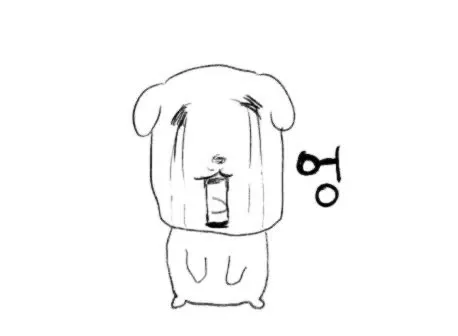 실물 포토 리뷰