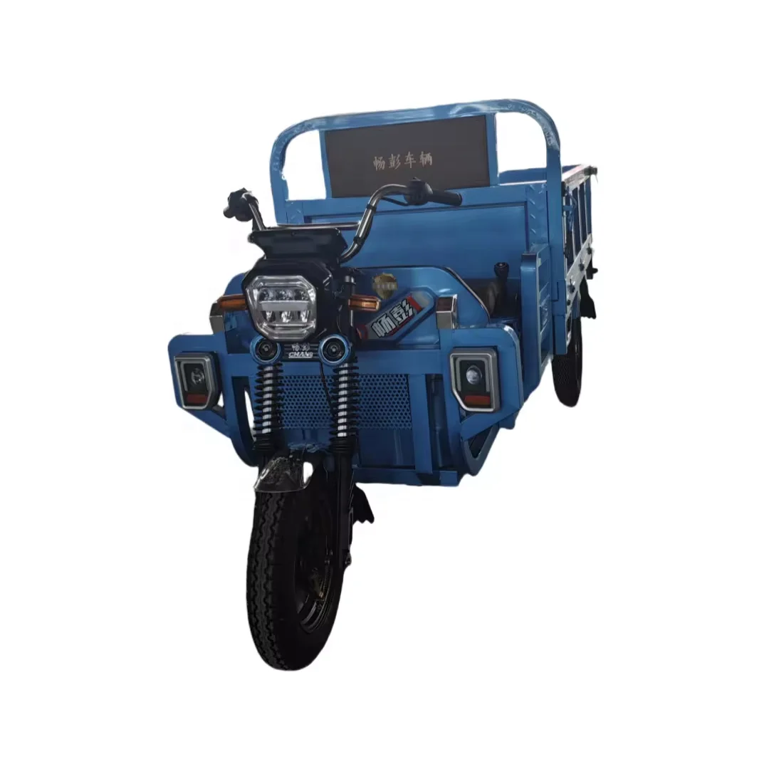 Good Quality Cargo Electric Tricycle Cargo Truck China Closed Eec 3 Wheel Electric Tricycle 2 Wheel Cargo Bike Hengxing > 60V